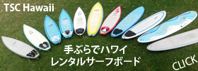 ハワイ サーフィン